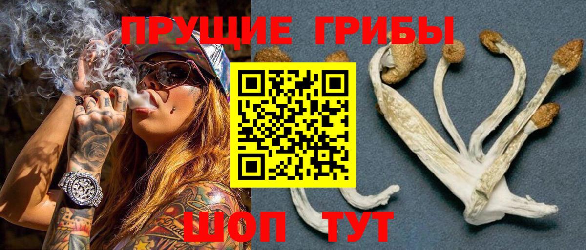 где можно купить наркотик  Вход с VPN  Воткинск  Псилоцибиновые грибы MAGIC MUSHROOMS  Галлюциногенные грибы Magic Shrooms 